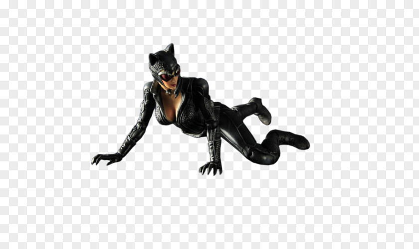 Catwoman Batman: Arkham City PNG