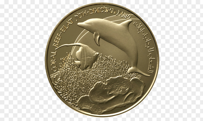 Coin Eilat Silver Medal Bank PNG