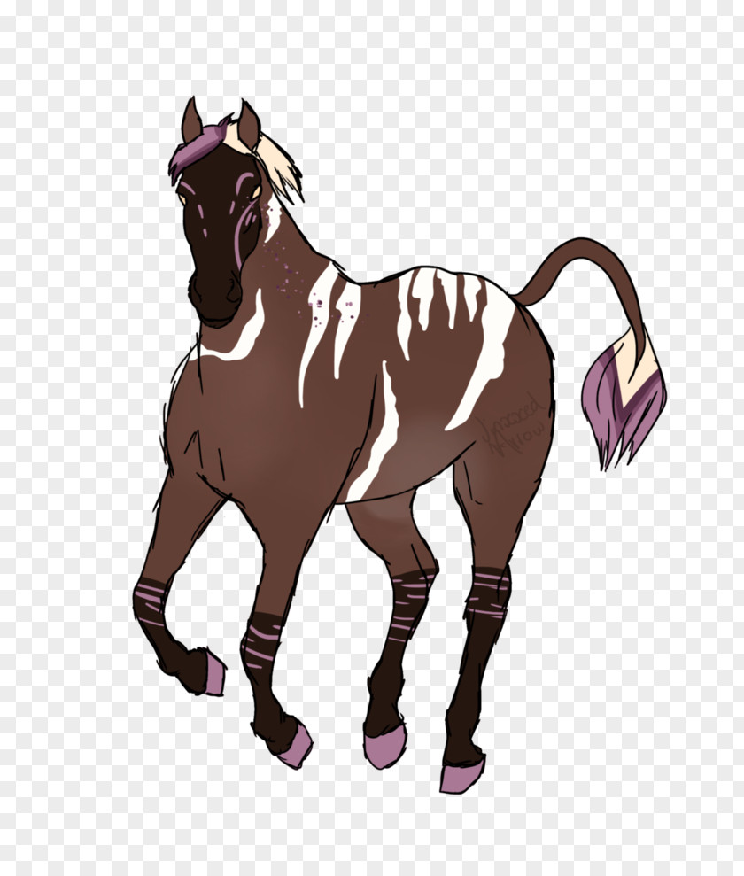 Damask Rose Mustang Stallion Rein Mare Equestrian PNG