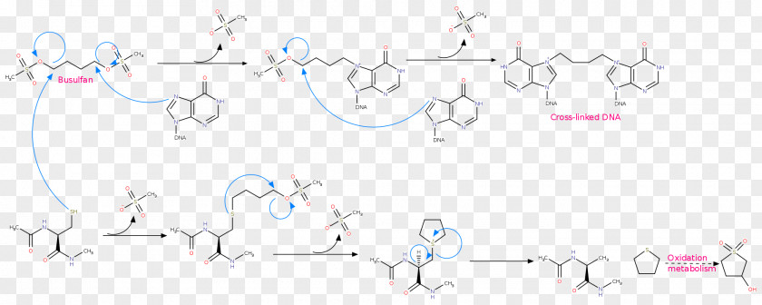 Jones Oxidation Reaction Mechanism Calligraphy Paper Font Mammal Angle PNG