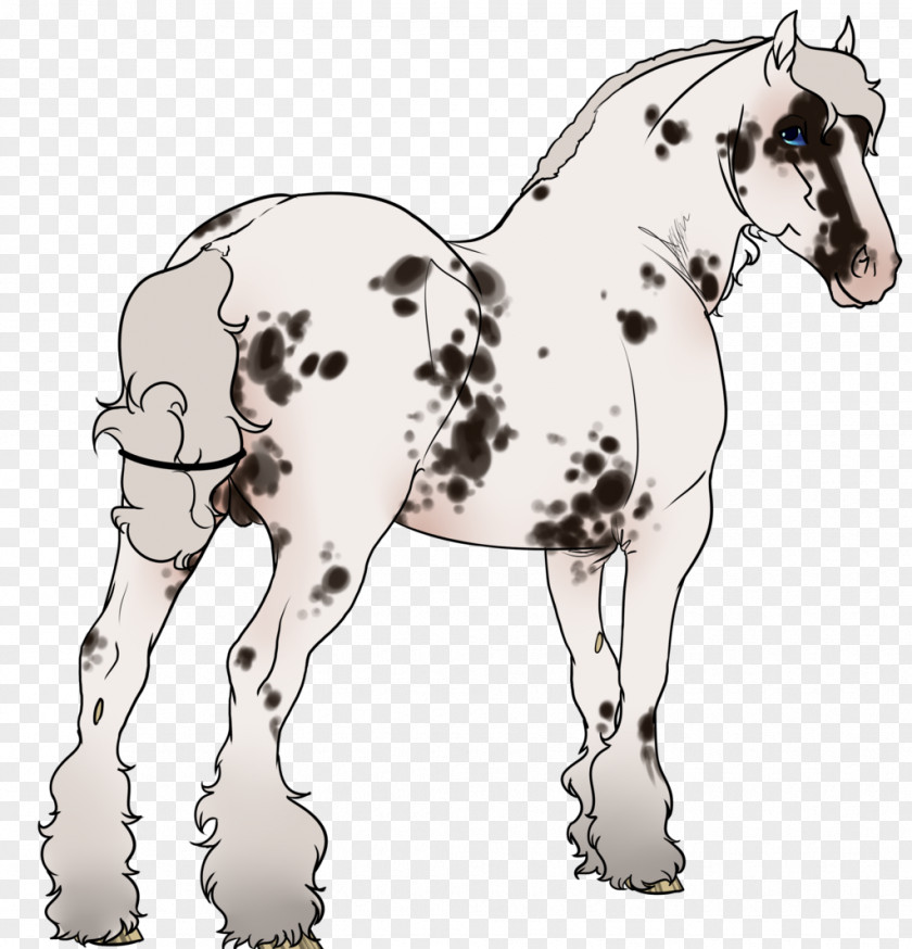 Mustang Mule Foal Stallion Colt PNG