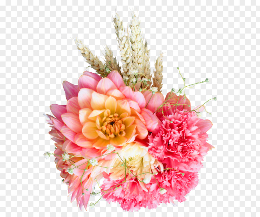 Picture Frames Paper Flower PNG