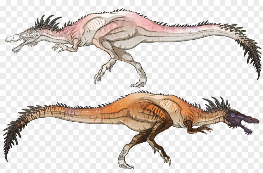 Rare Animal Tyrannosaurus Dinosaur King Primal Carnage: Extinction PNG