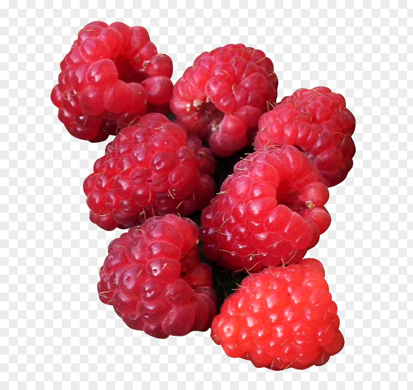 Raspberry Frutti Di Bosco Tayberry Boysenberry Loganberry PNG