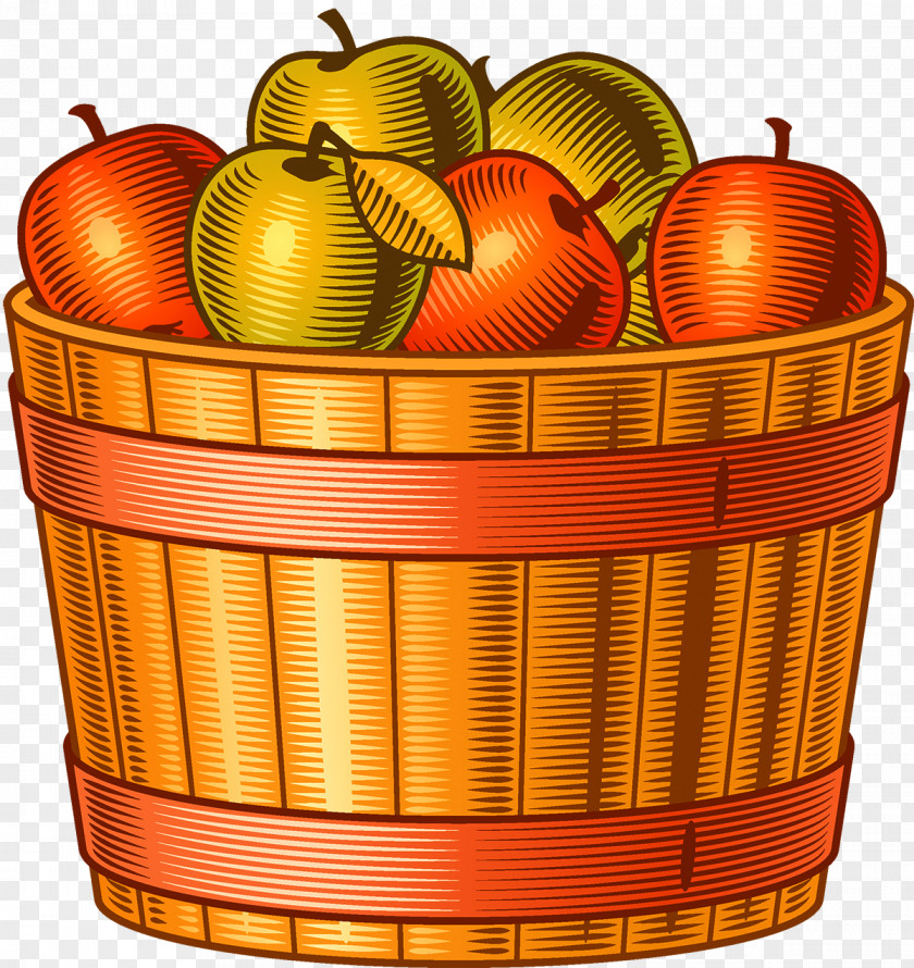 Apple Harvest Autumn Adobe Illustrator PNG