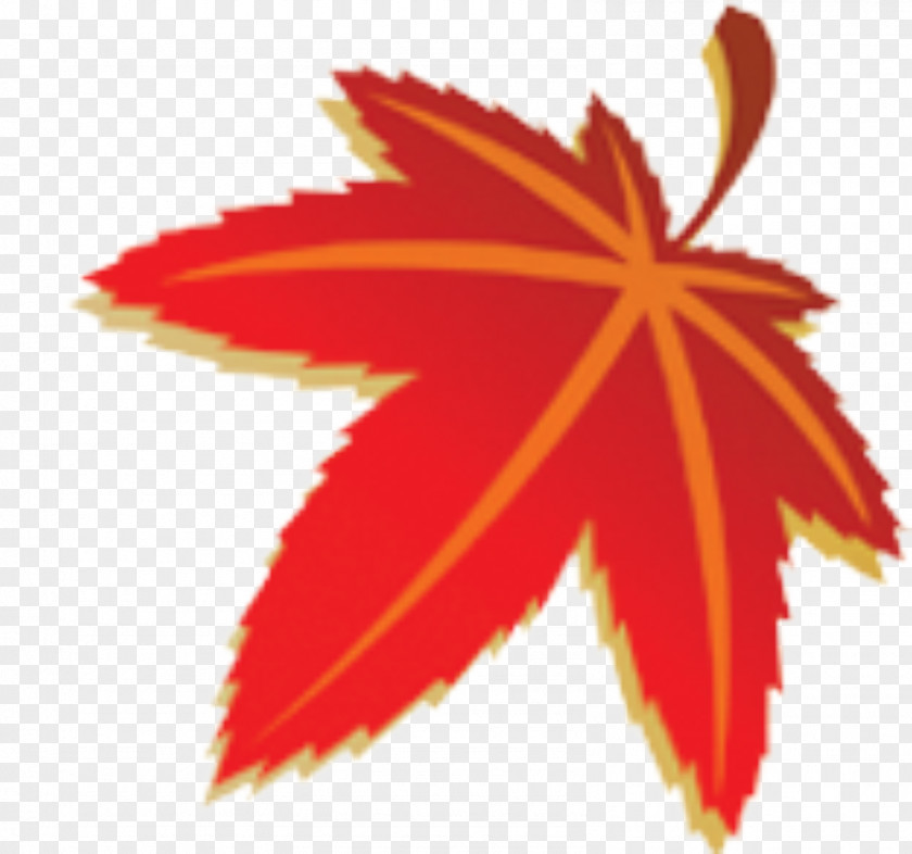 Cartoon Autumn Leaves Maple Leaf Illustration PNG
