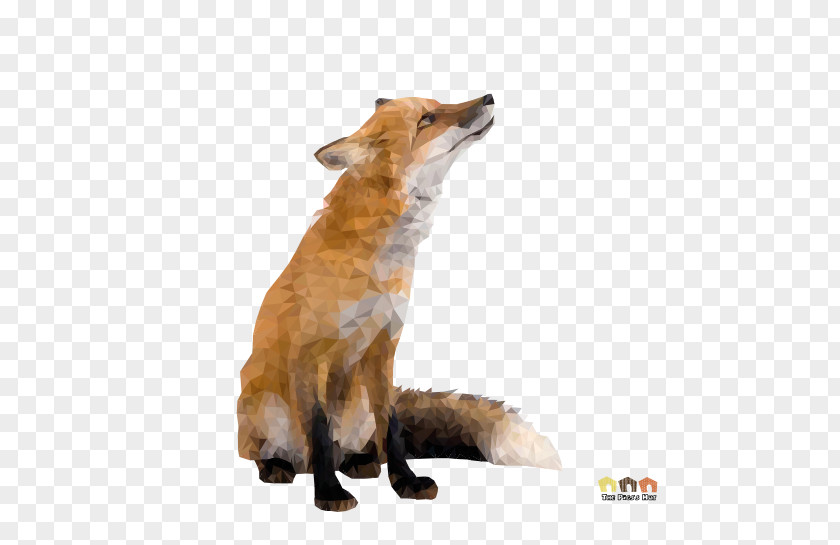 Fox Red Stock Photography Animal PNG