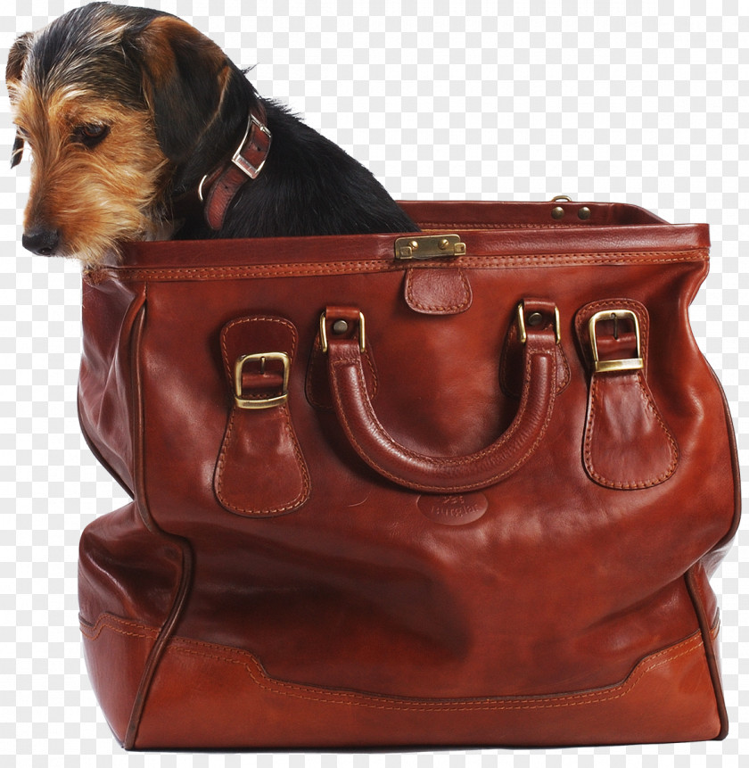 Purse Dog Cat Ferret Pet Travel PNG