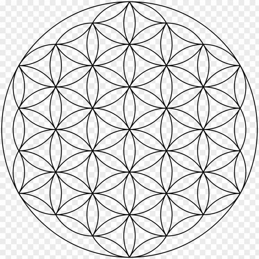 Compas Overlapping Circles Grid Sacred Geometry Symbol PNG