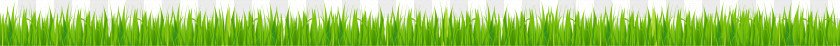 Grass Green Angle Computer Wallpaper PNG