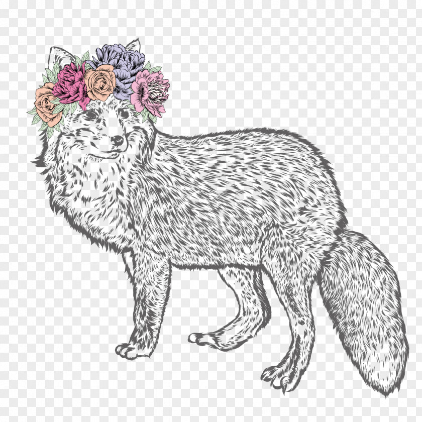 Hand-painted Fox Whiskers Drawing Illustration PNG