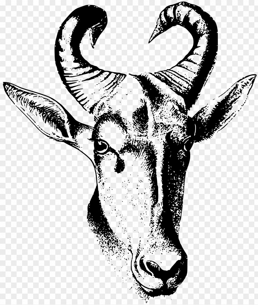 Horse Cattle Antelope Bovinae Drawing Clip Art PNG