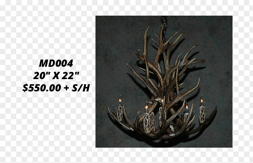 Antler White-tailed Deer Mule Chandelier PNG