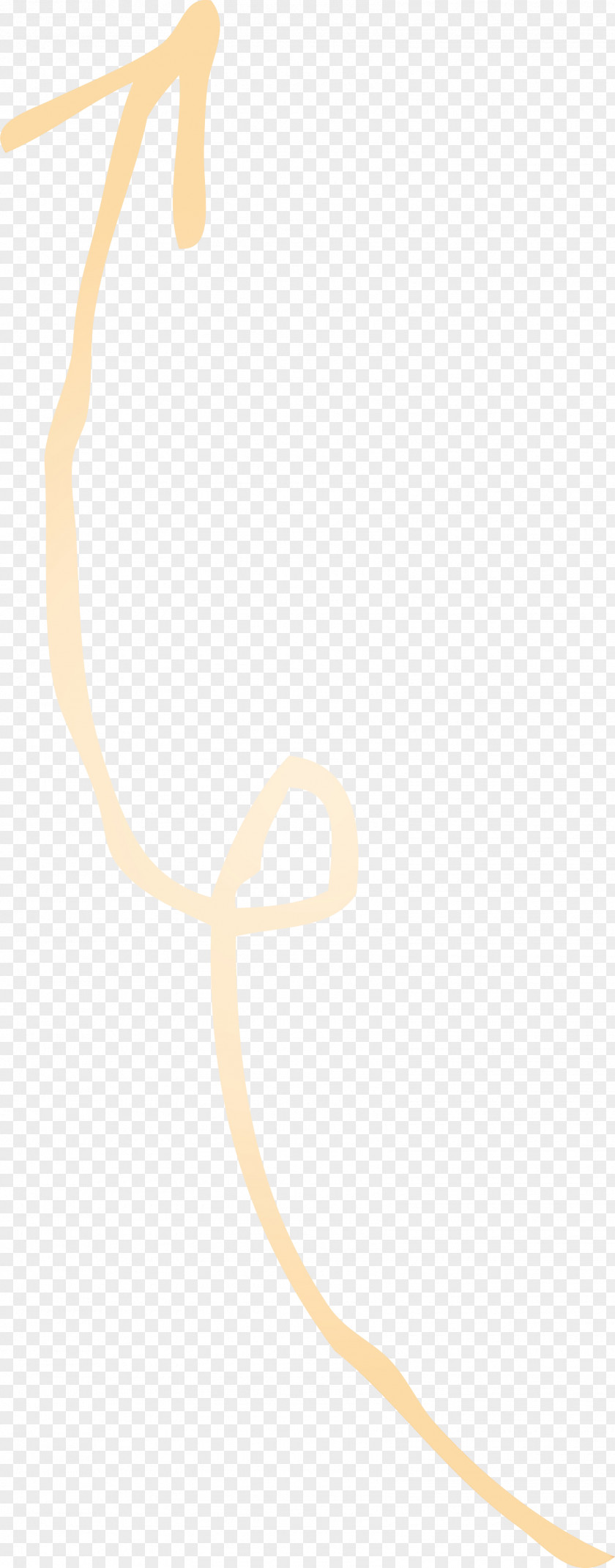 Beige PNG