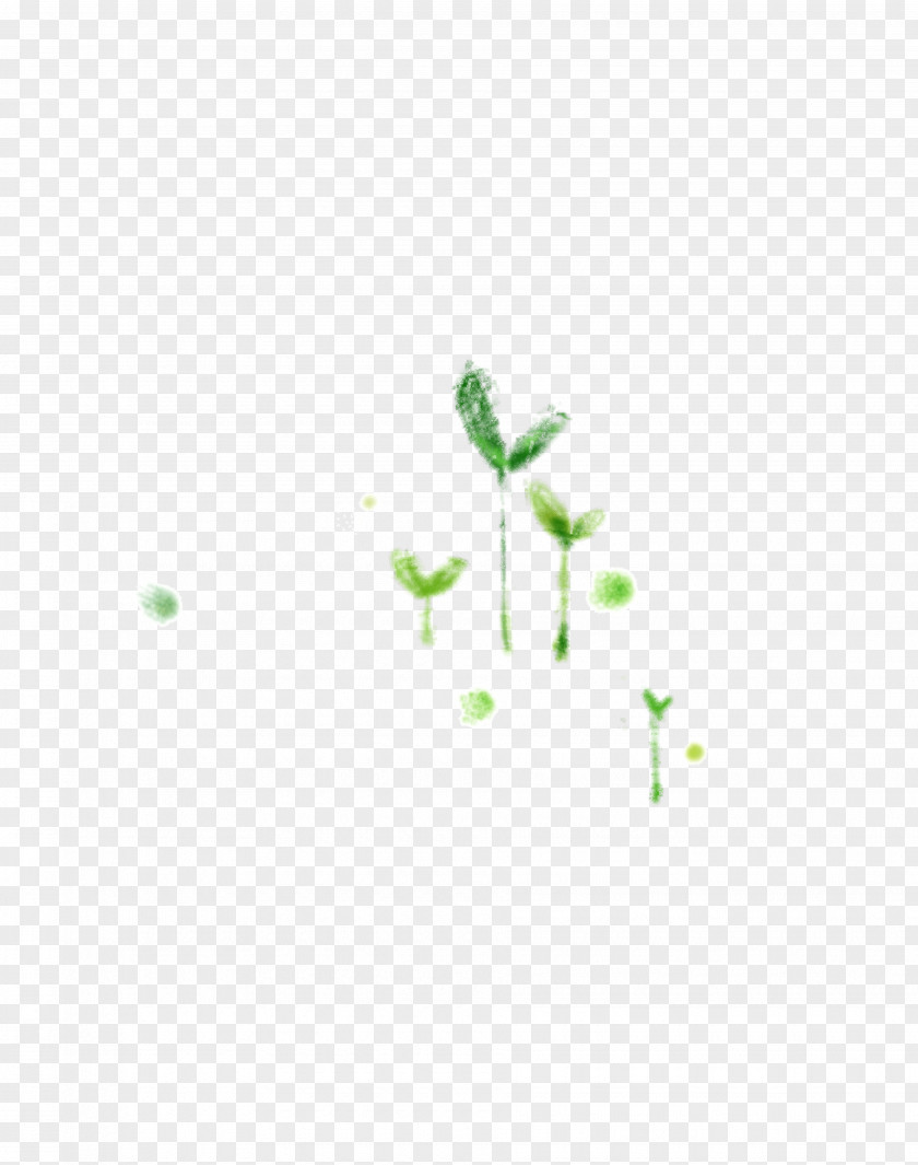 Crayon Grass Textile Green Leaf Pattern PNG