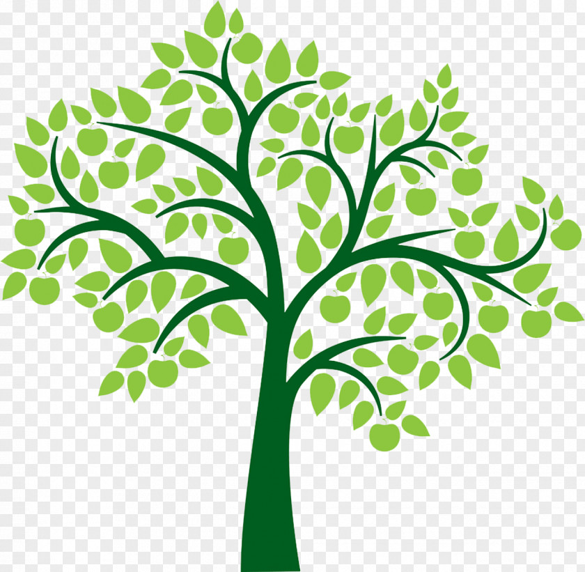 Family Tree Clip Art PNG