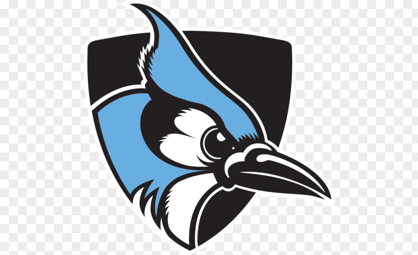 Johns Hopkins Blue Jays Football University Men's Lacrosse Women's PNG