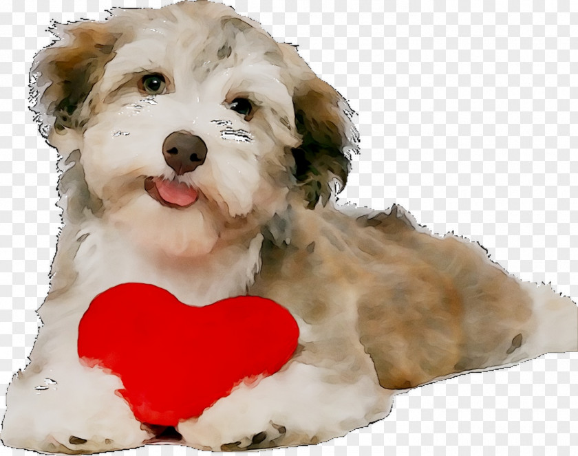 Spielwaren Jigsaw Puzzles Eurographics Euro Graphics Dog With Heart Mini Puzzle (EUGR781) Ponyhof. 100 Teile XXL PNG