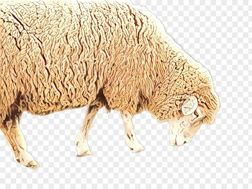 Wool Animal Figure Cartoon Sheep PNG