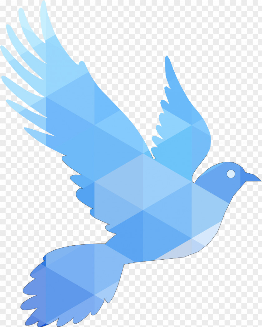 Bird Vector Graphics Logo Image PNG