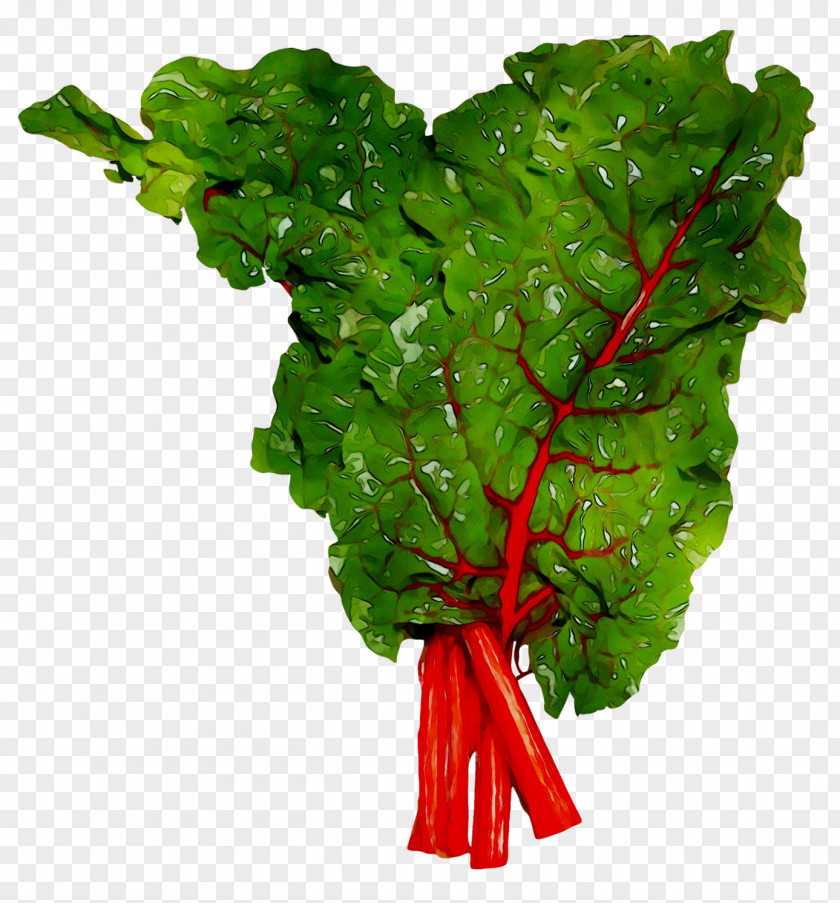 Chard Vegetable Beetroots Beta Greens PNG