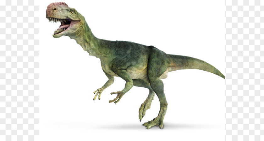 Dinosaur Iguanodon Monolophosaurus Tyrannosaurus Reptile PNG