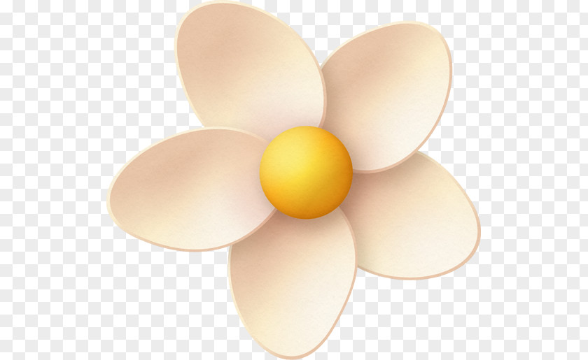 Egg Lighting PNG