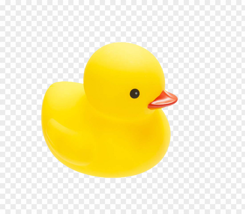 Little Yellow Duck Project Toy PNG