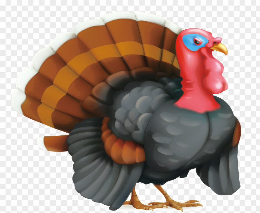 Peacock Vector Material Turkey Meat Cartoon Royalty-free PNG