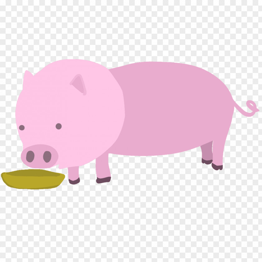 Pig Domestic Pork Livestock Illustration PNG