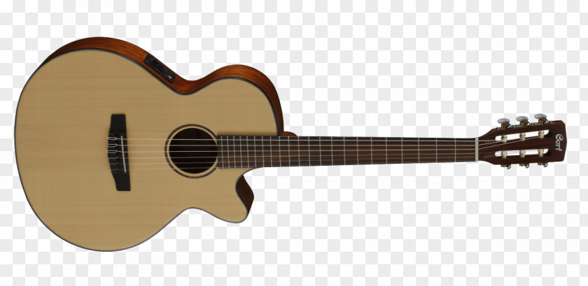 Acoustic Guitar Cort Guitars Dreadnought Electric Bass PNG