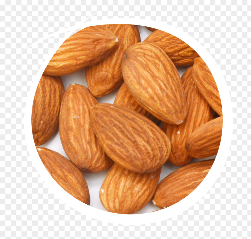 Almond Cellulite Skin Nut Oil PNG