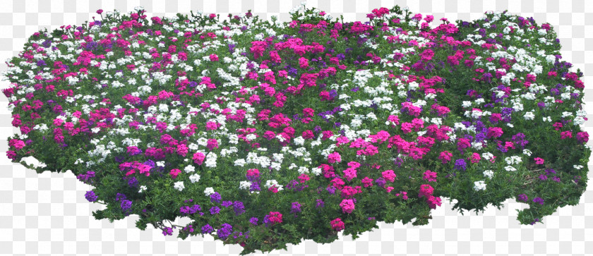 Bushes Animation Photography Clip Art PNG