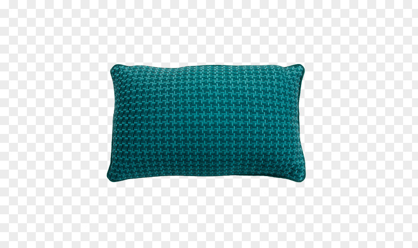 Green Peacock Hinck Throw Pillows Cushion .nl PNG