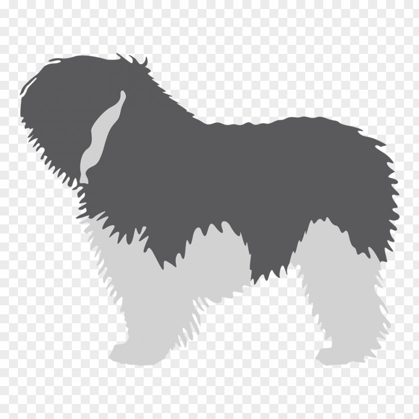Puppy Dog Breed Polish Lowland Sheepdog Kerry Blue Terrier Old English PNG