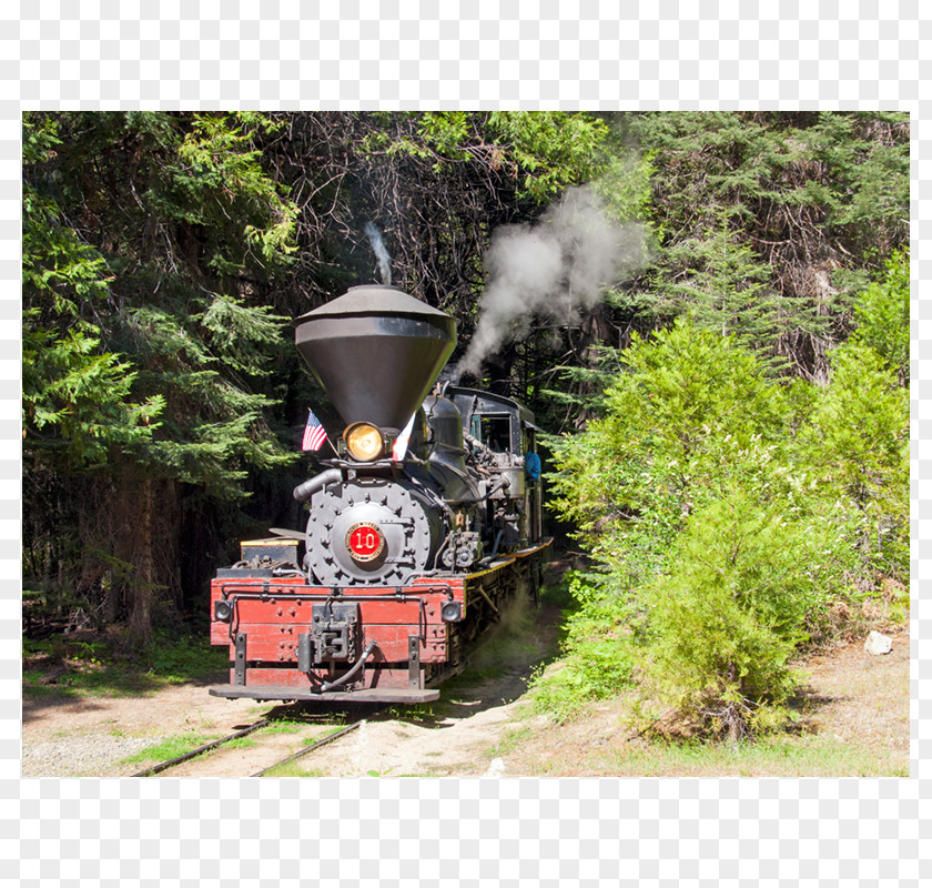 Train Locomotive Cumbres And Toltec Scenic Railroad Santa Fe 3751 Tree PNG