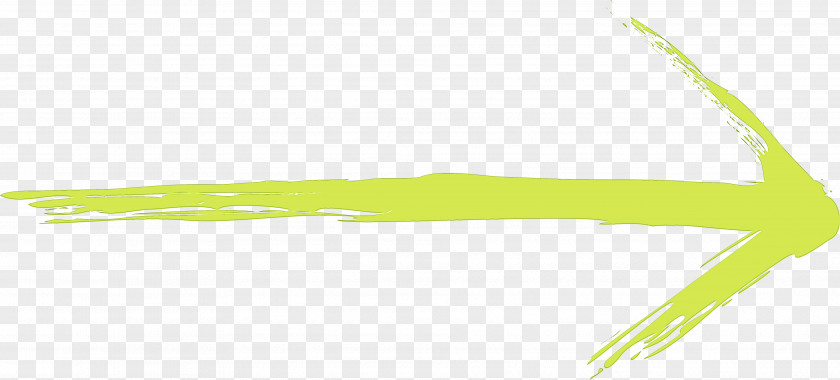 Yellow Line PNG