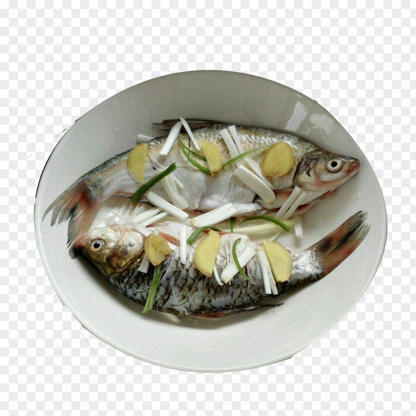 Steamed Perch With Scallion And Ginger Seafood Cooking PNG