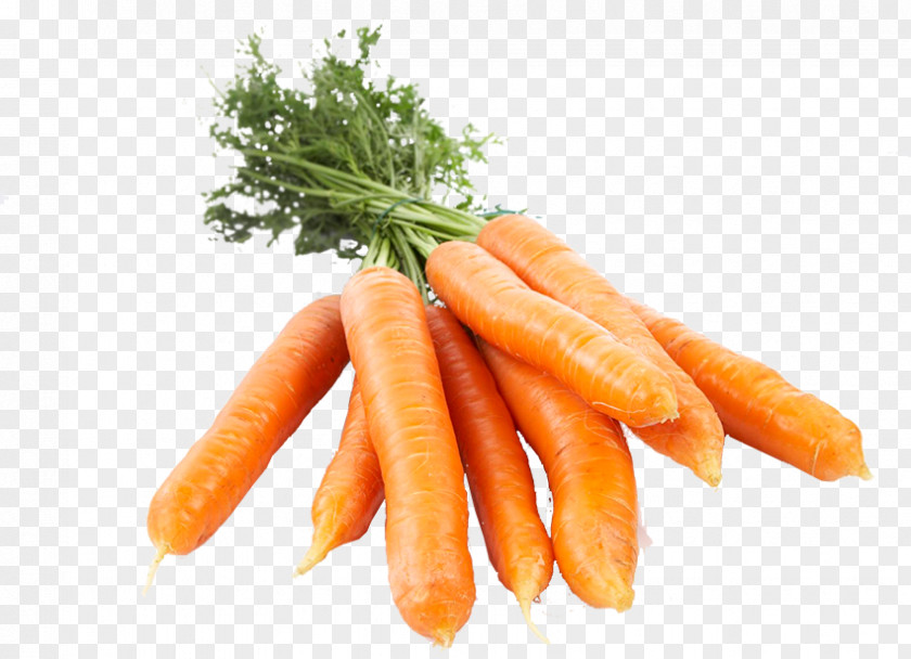 Carrot Vegetable Kohlrabi Food Brussels Sprouts PNG