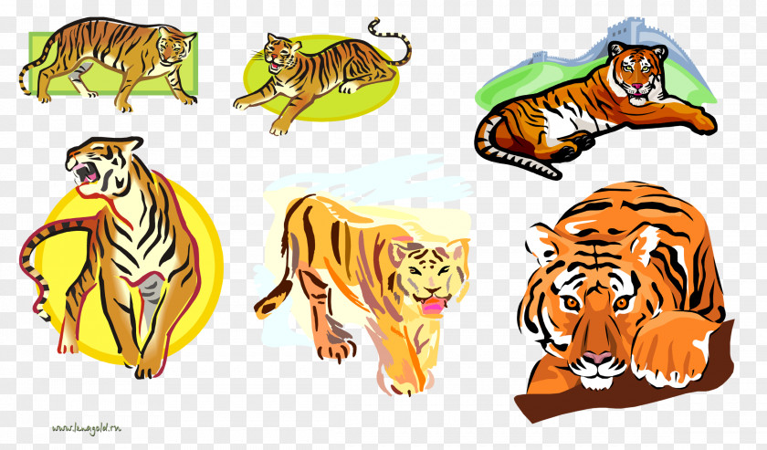 Cartoon Tiger Lion Desktop Wallpaper Clip Art PNG