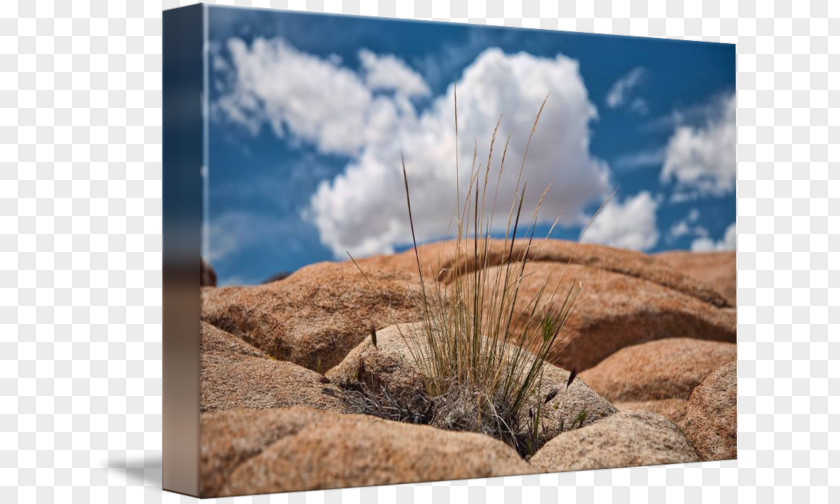 Desert Rocks Desktop Wallpaper Ecoregion Stock Photography Computer PNG
