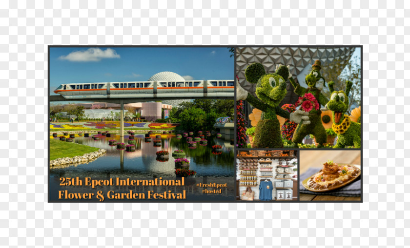 Epcot International GatewayEpcot Flower Garden Festival Disney's Hollywood Studios & Star Tours – The Adventures Continue Friendship Launch PNG