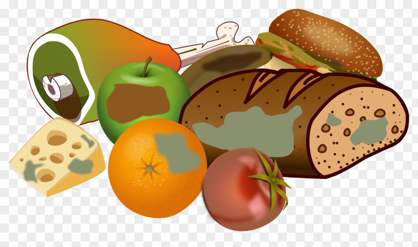 Food Fast Vegetarian Cuisine Junk Clip Art PNG