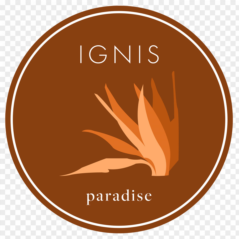 Ignis Pattern Logo Candle Design Brand Fire PNG