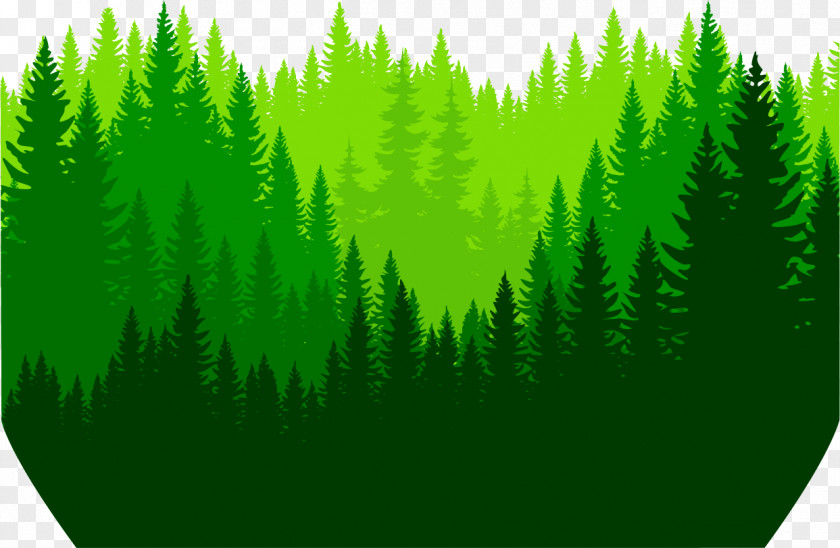 Vector Painted Deep Forest Euclidean Icon PNG