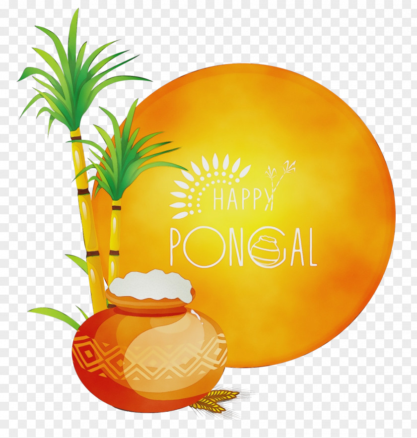 Arecales Fruit New Year Tree PNG