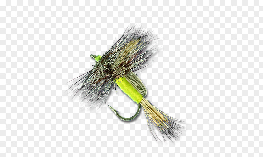 Dry Fly Fishing Artificial PNG
