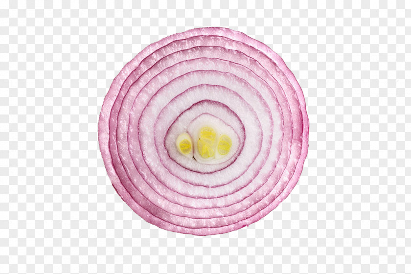 Yellow Core Onion United States French Soup Red PNG