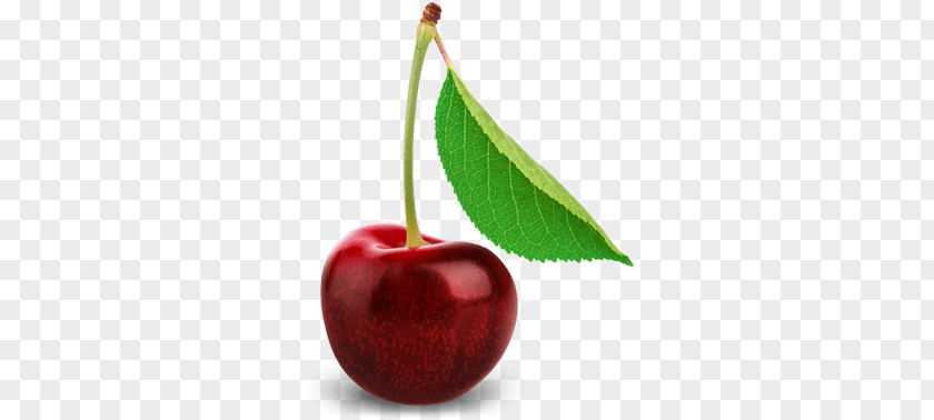 Cherry Single PNG Single, red cherry clipart PNG