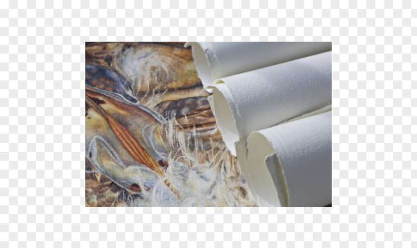 Cotton Paper Papermaking Material Fiber Flax PNG